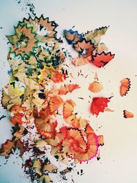 Close-up of autumn leaves on white background
