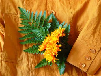 Close-up of yellow flowers