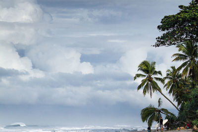 Low angle view of coconut palm trees against cloudy sky