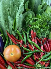 Close-up of vegetables such as tomatoes, chilis and green vegetables