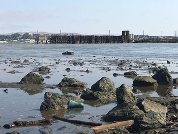 Rocks at beach during low tide