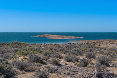 Landscape on the patagonian atlantic coast in argentina