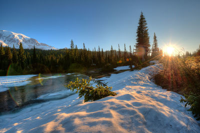 Scenic view of frozen lake in forest against clear sky