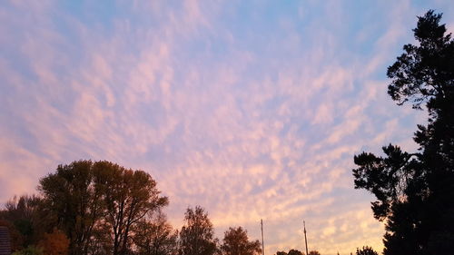 Low angle view of silhouette trees against sky at sunset