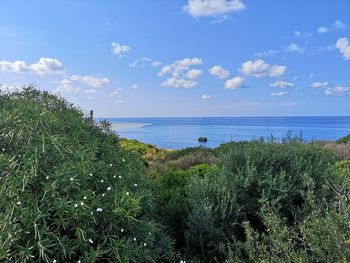 Scenic view of sea against sky