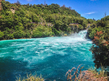 Scenic view of waterfall in forest