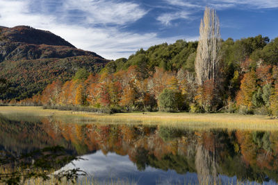 Scenic view of lake by trees against sky