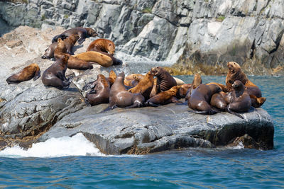 High angle view of rocks in sea