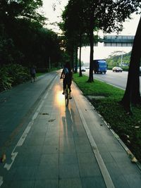 Rear view of woman riding bicycle on street