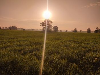 Scenic view of field against sky during sunset