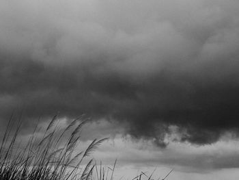 Low angle view of clouds in sky