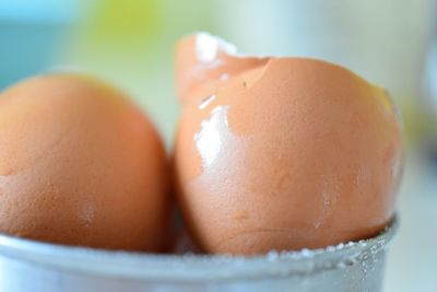 Close-up of egg shells