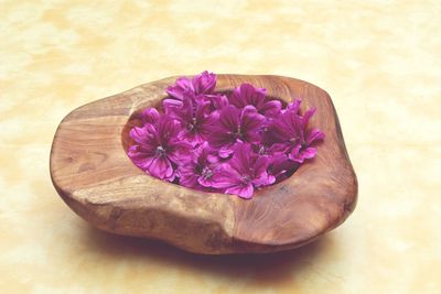 Close-up of purple flowers