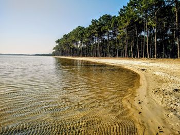 View of beach against sky