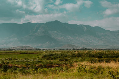 A view of usambara mountains during summer 