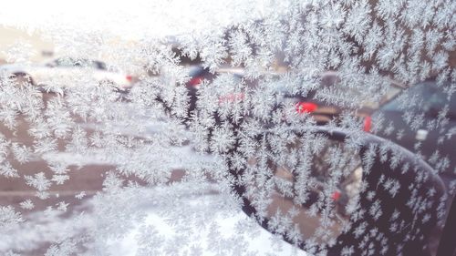 Close-up of snow on glass window