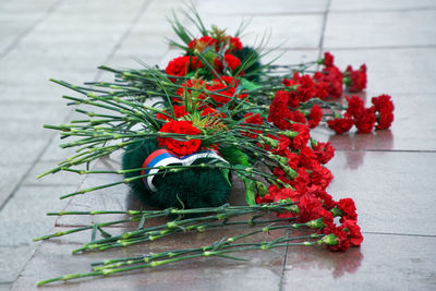 High angle view of red potted plant on table