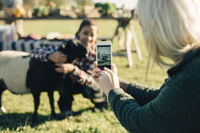 Mature woman photographing friend and sheep with mobile phone at field