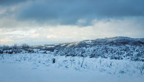 Cold snow countryside - landscape