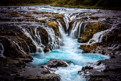 Scenic view of waterfall in forest