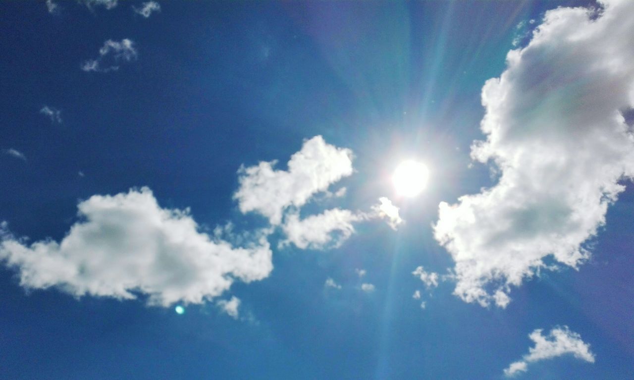 sky, low angle view, cloud - sky, nature, beauty in nature, sunlight, blue, tranquility, sun, sunbeam, no people, idyllic, outdoors, day, scenics, growth, heaven