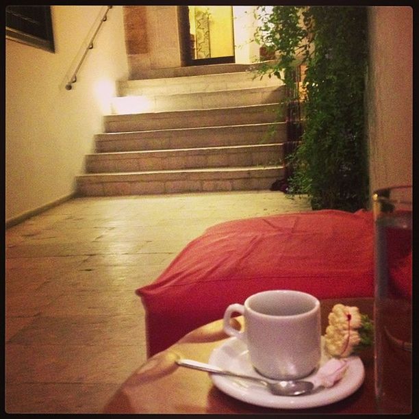 indoors, table, transfer print, chair, auto post production filter, home interior, potted plant, sitting, absence, vase, house, sunlight, relaxation, wood - material, flower, coffee cup, empty, pets, day, no people