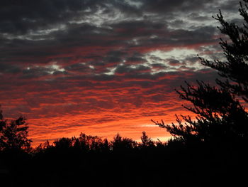 Silhouette trees against dramatic sky during sunset