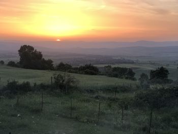 Scenic view of field against sky during sunset