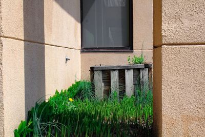 Close-up of house window