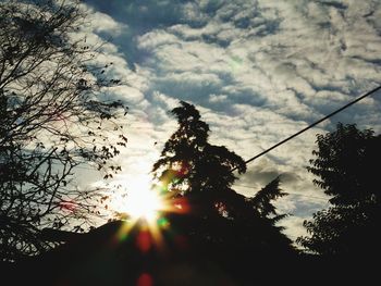 Low angle view of trees against sky at sunset