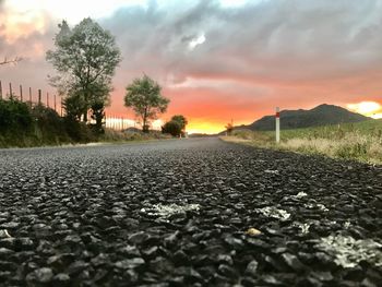 Scenic view of trees against sky during sunset