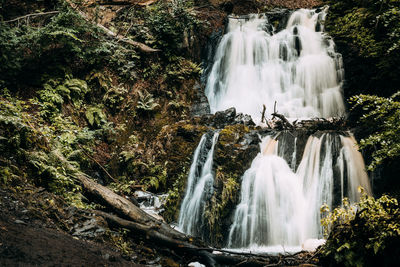 View of waterfall in forest