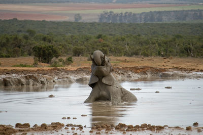 Sculpture on landscape against sky