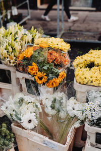 View of potted plants at market stall