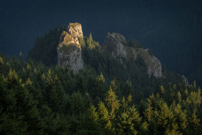 Morning landscapes from ceahlau mountain, romania.