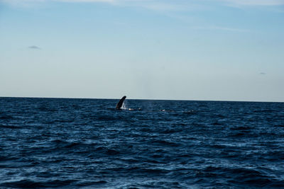 Person in sea against sky