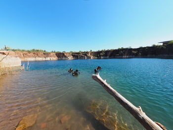 Scenic view of sea against clear blue sky