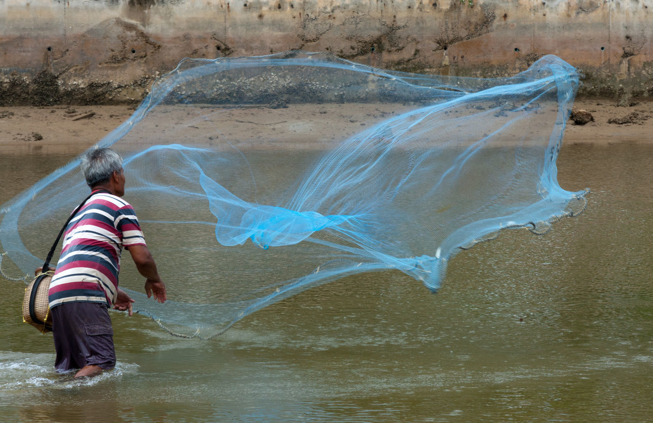 Fisherman, thailand, phuket, net, thrown, throwin