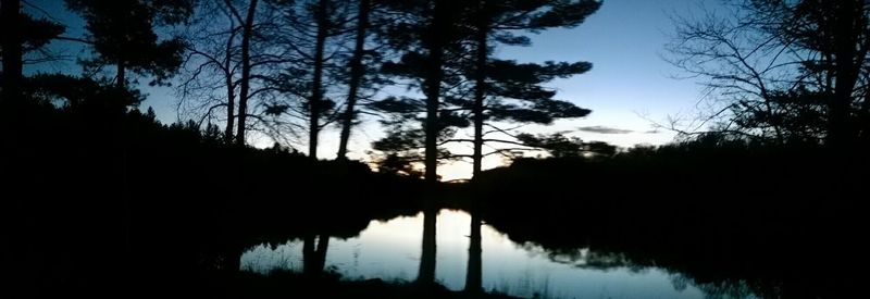 Silhouette trees by lake against sky