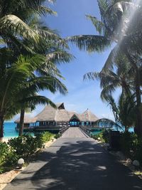 Road by palm trees against sky