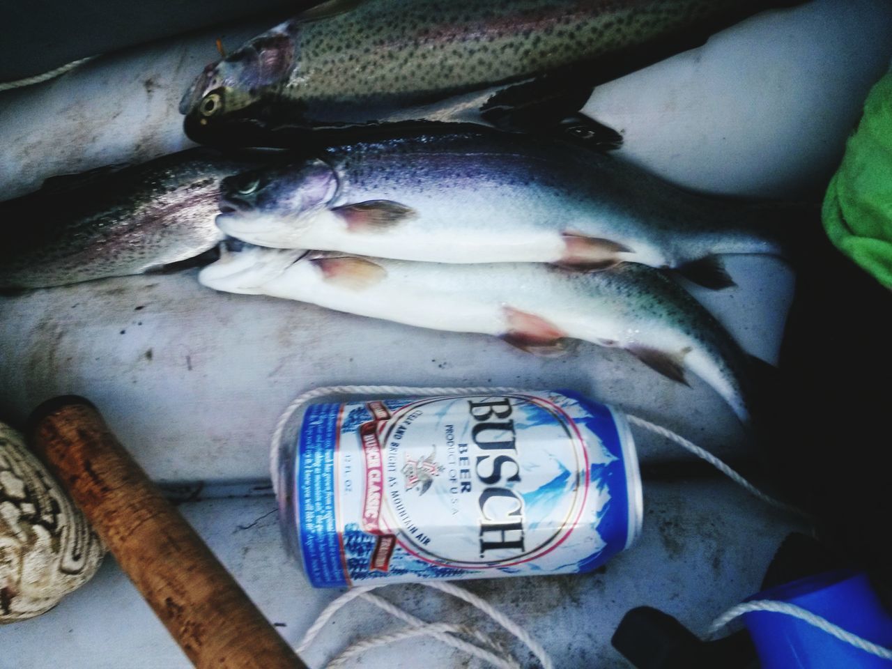 CLOSE-UP OF HAND WITH FISH IN CONTAINER