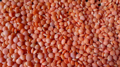 Full frame shot of legumes for sale in store