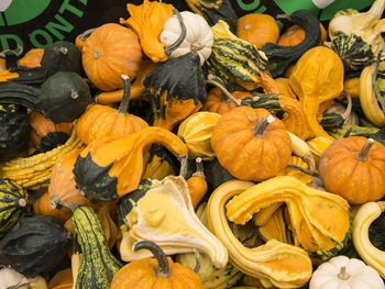 Close-up of pumpkins for sale at market