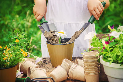 gardening