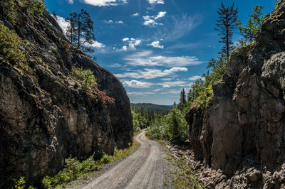 Gravelroad to lake nedre tråtjønn, trillemarka-rollagsfjell, norway