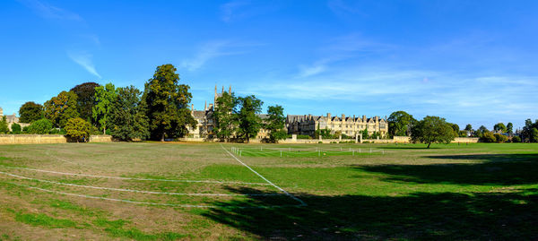 Trees on field against sky