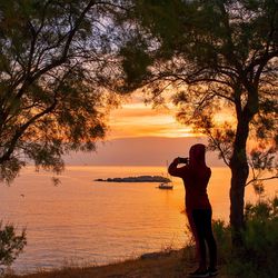 Man photographing by tree against sky during sunset