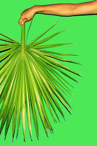 green