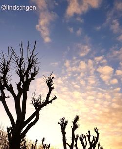 cloud - sky