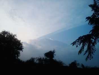 Low angle view of silhouette trees against sky